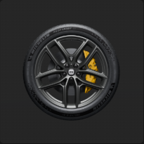 21" Кованый лепесток, плавающий колпак, спортивные шины /  21" Forged Petal, floating cap, sport tyres /  21英寸花瓣锻造轮毂 悬浮车标 运动胎