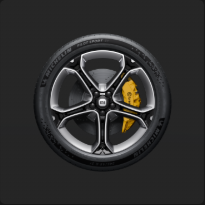 21" Кованая слива, плавающий колпак, спортивные шины /   21" Forged Plum Blossom, floating cap, sport tyres /  21英寸锻造梅花轮毂 悬浮车标 运动胎